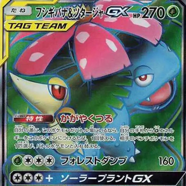 リザードン&テールナーGX【HR】{075/064} [SM11a]の詳細