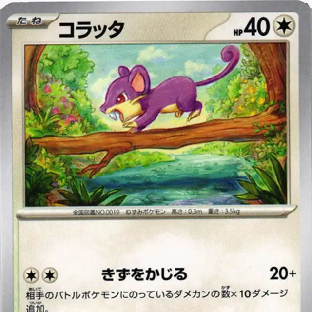 フシギバナex SAR SV2a 200/165 0415a9fe58a00fda98b92844874496